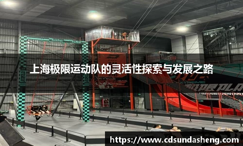 上海极限运动队的灵活性探索与发展之路